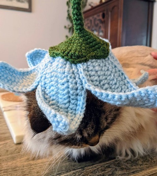 Crochet Cat Hat Free Patterns 1