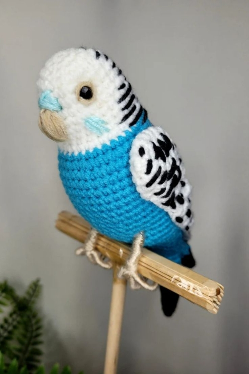 Crochet Budgie Pattern