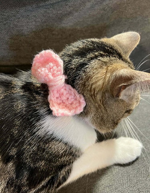 Pet Collar Free Crochet Patterns 3