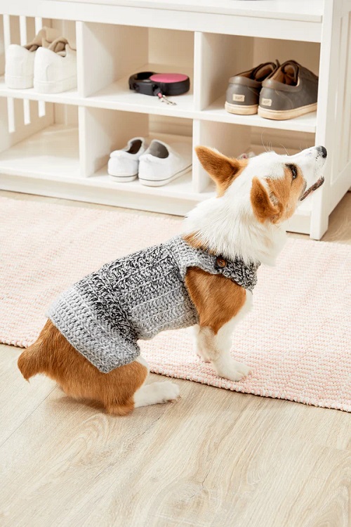 Crochet Dapper Dog Sweater