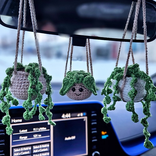 Mini Hanging Plant Crochet Patterns 4