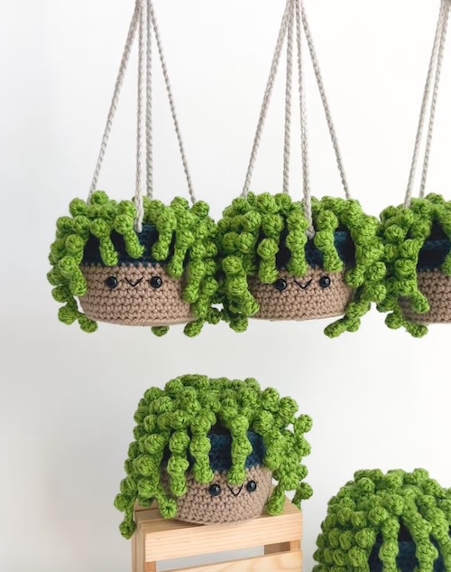 cute hanging succulent