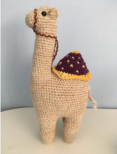 Deborah's Camel