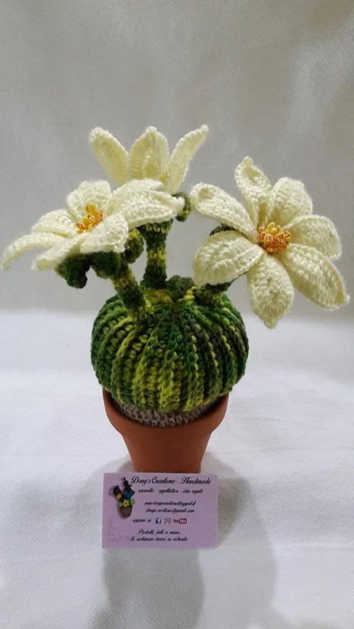 Crochet Cactus with flowers