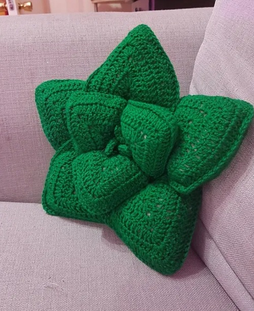 crocheted succulent plant pillow pattern