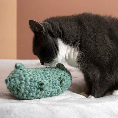 Pickle Cat Toy Pattern