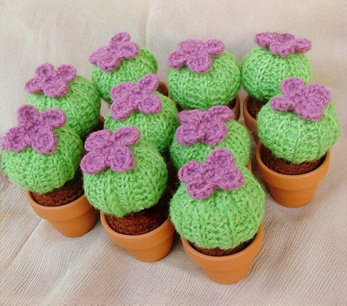 group of succulents crochet pattern