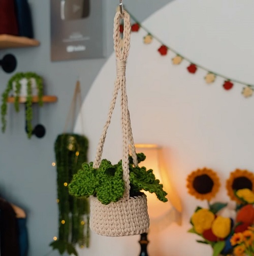 Crochet Hanging Plant 3