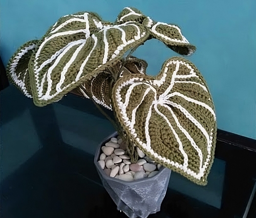 Crochet Caladium Free Pattern