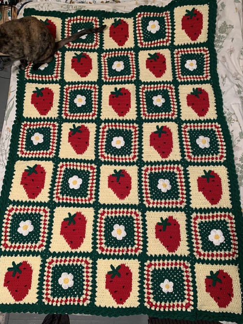 DIY Crochet Strawberry Blanket
