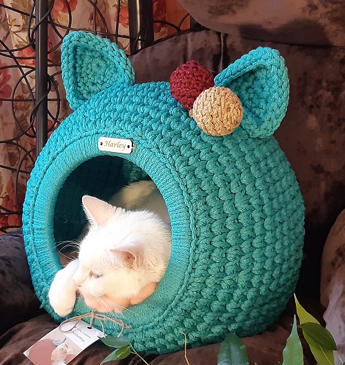 Kitten Cave