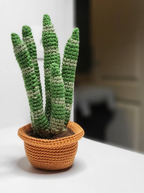 DIY Crochet Snake Plant Ideas 2
