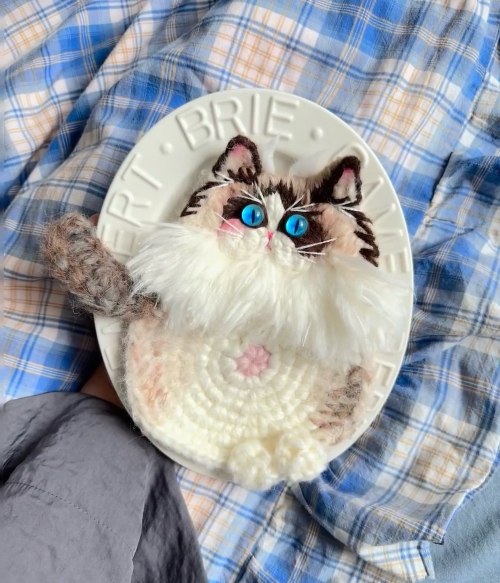 Rag Doll Cat Coaster