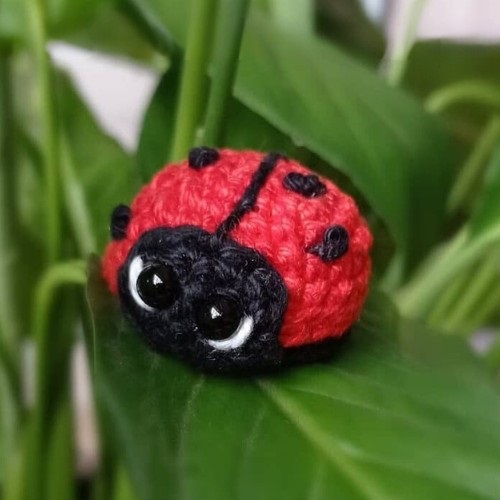 Crochet Ladybug Amigurumi Free Patterns 3