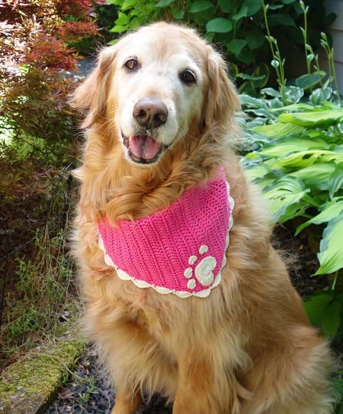 Crochet Pet Bandana Free Patterns 10