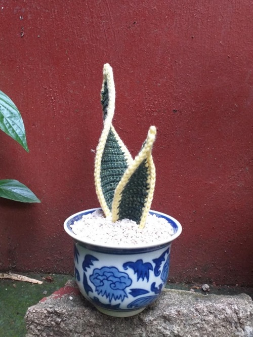 Crochet Snake Plant Free Patterns 1
