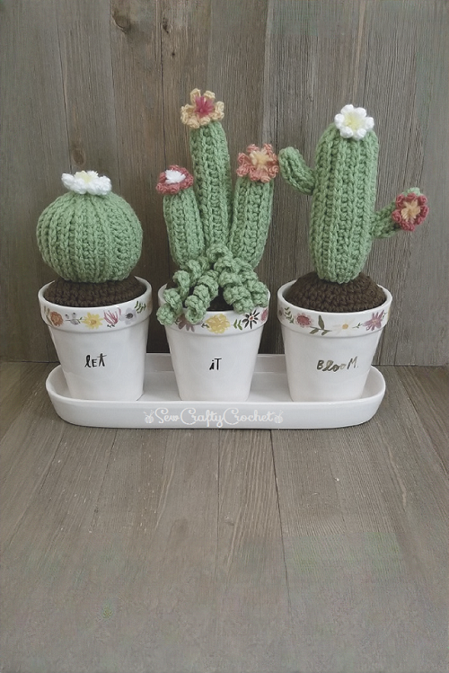 adorable flowering crochet cactus