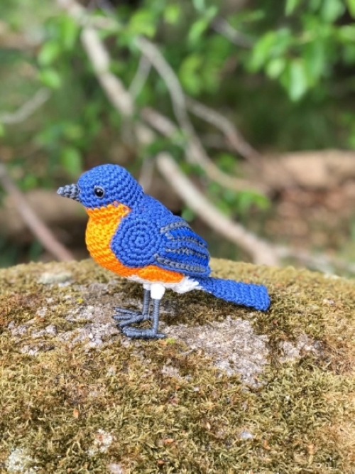 Eastern Bluebird Amigurumi Bird