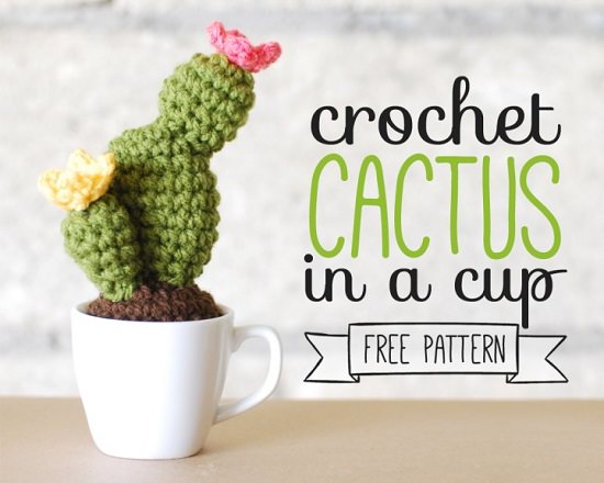DIY Crochet Succulents 2