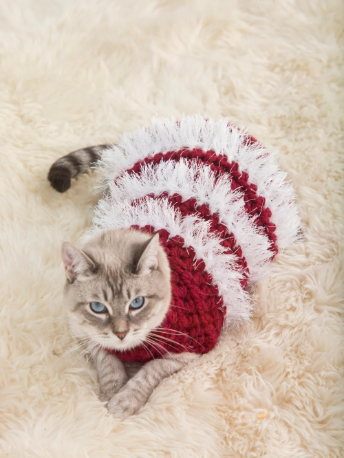Festive Cat Crochet Sweater Free Pattern