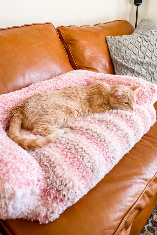 Crochet Cat Couch Patterns 1