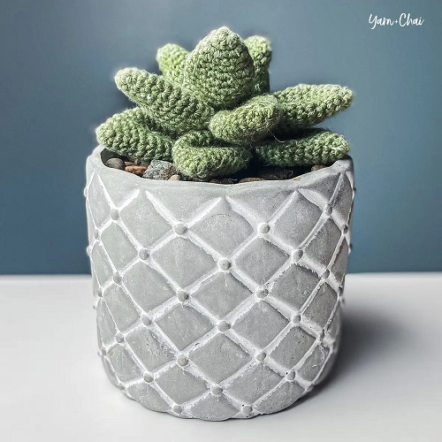 Crochet indoor plants with beautiful foliage 1