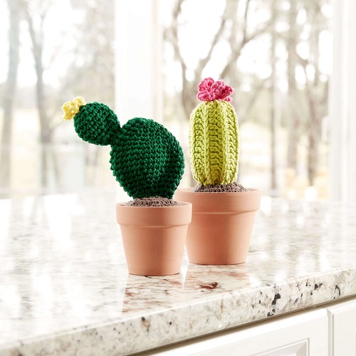 adorable crochet flowering cactus