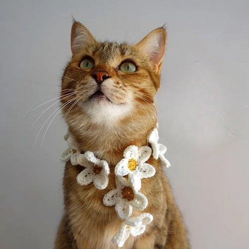 Daisy Chain Cat Scarf