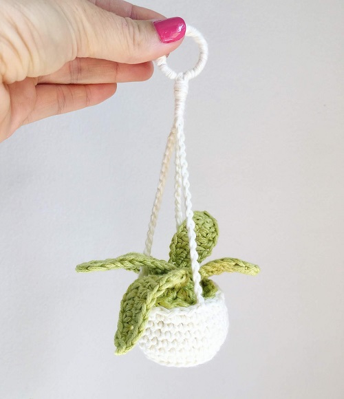 Crochet Hanging Plant