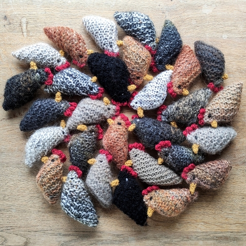 Brood of Sleepy Hens