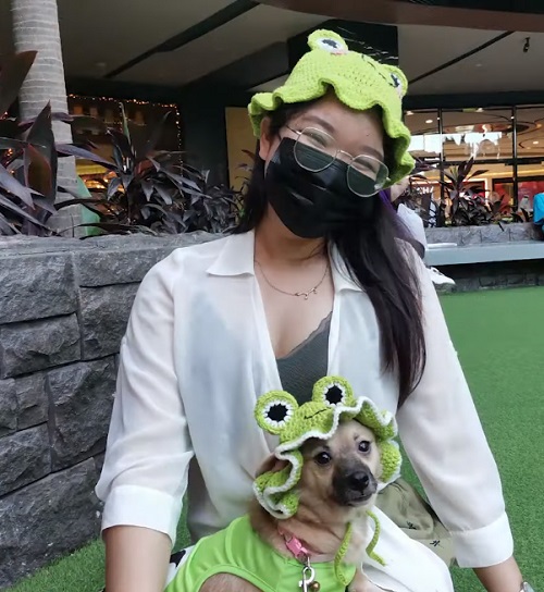 Frog Bucket Hat for Pets