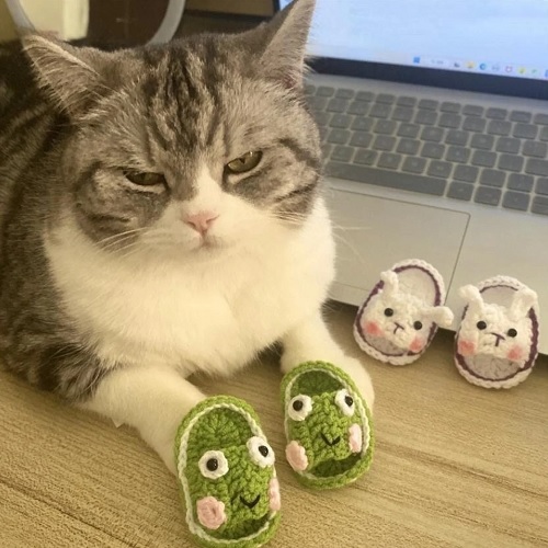 Adorable Crochet Cat Slippers