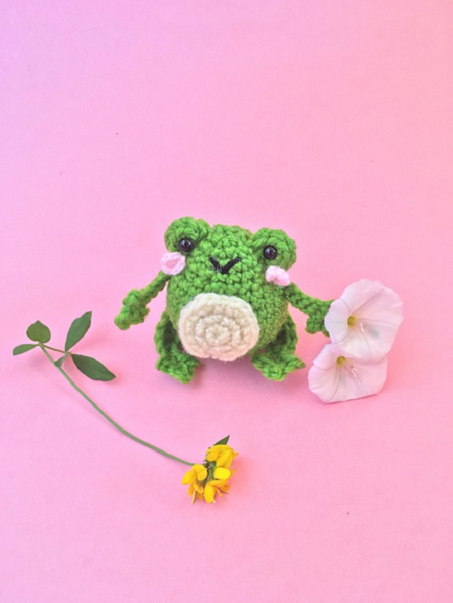 Florence the frog Amigurumi