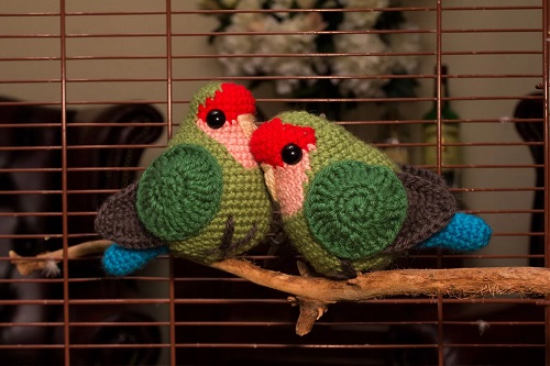 peach-faced-love-bird-amigurumi-crochet