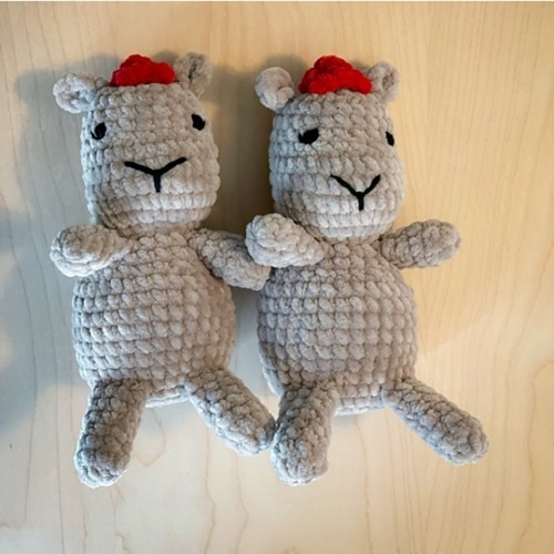 Mr. Cappy the Capybara