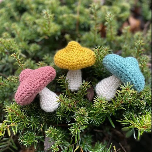 Magical Mushroom Cat Toy