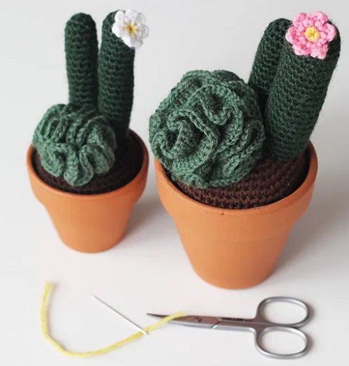  crochet cactus pair