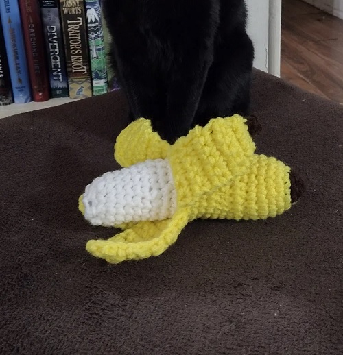Banana Catnip Toy
