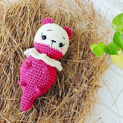 free-amigurumi-pattern-special-acces