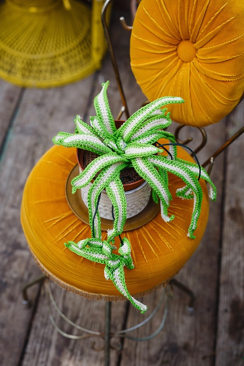 Crochet Spider Plant Free Patterns 2
