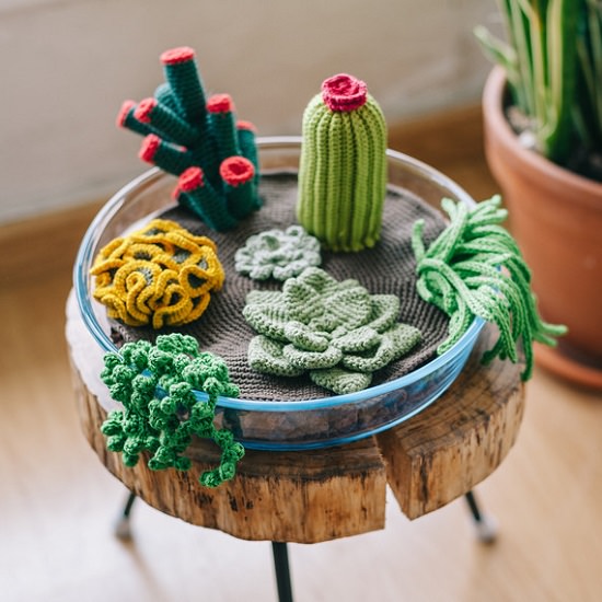 DIY Crochet Succulents
