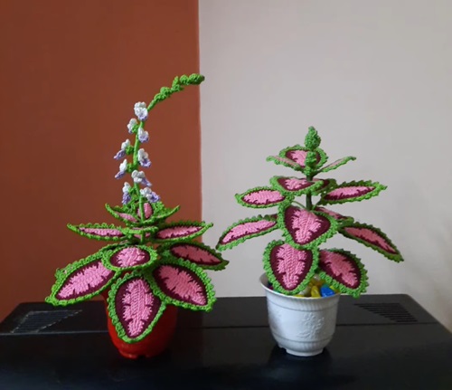 Impressive Crocheted Blooming