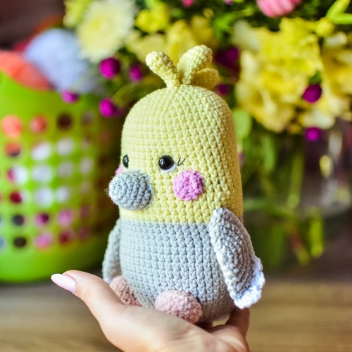 Crochet Chubby Parrot