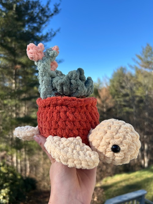 cute turtle flowering succulent pot