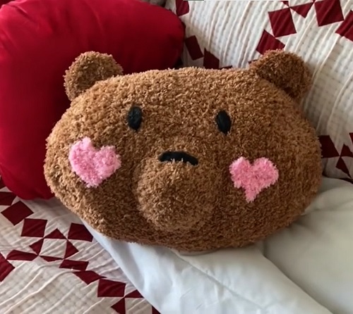 Crochet Teddy Pillows Free Patterns 2