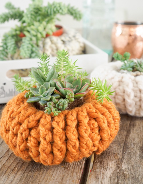 DIY Succulent Holder Crochet Patterns Ideas 3