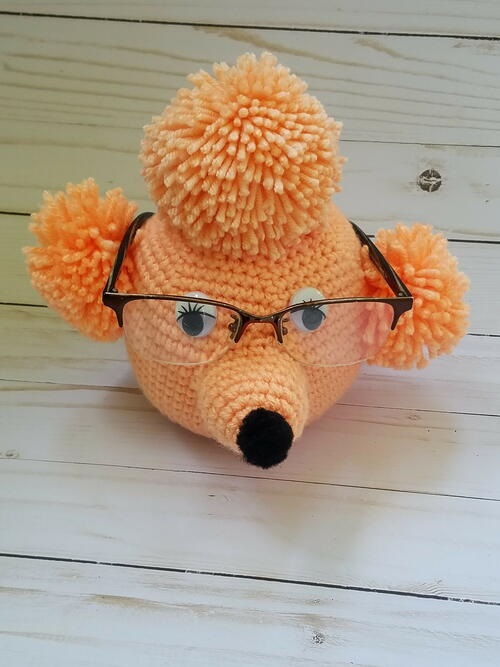 DIY Crochet Eyeglass Holder Ideas 3