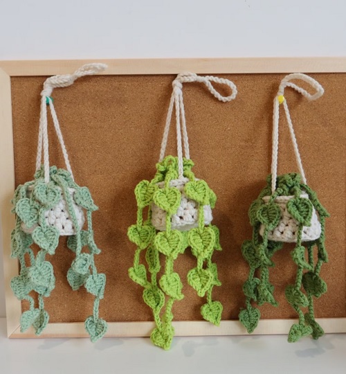 Crochet Car Pothos Plant