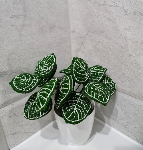 Indoor Crochet Plants