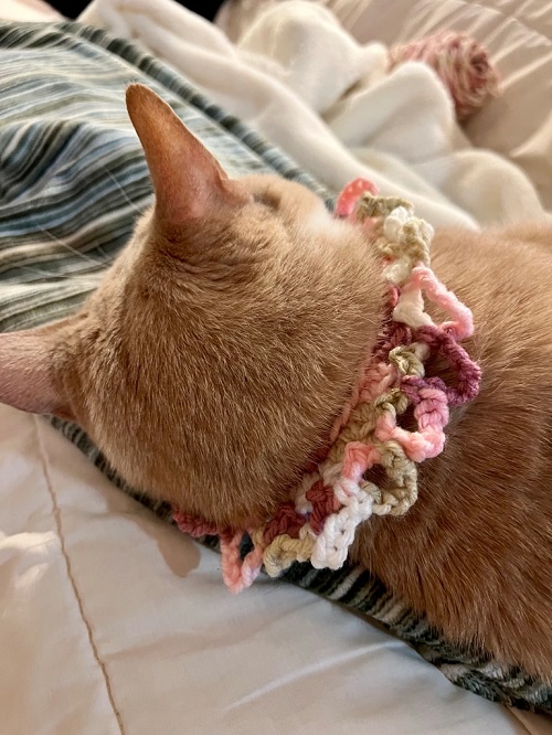 Pet Collar Free Crochet Patterns 4